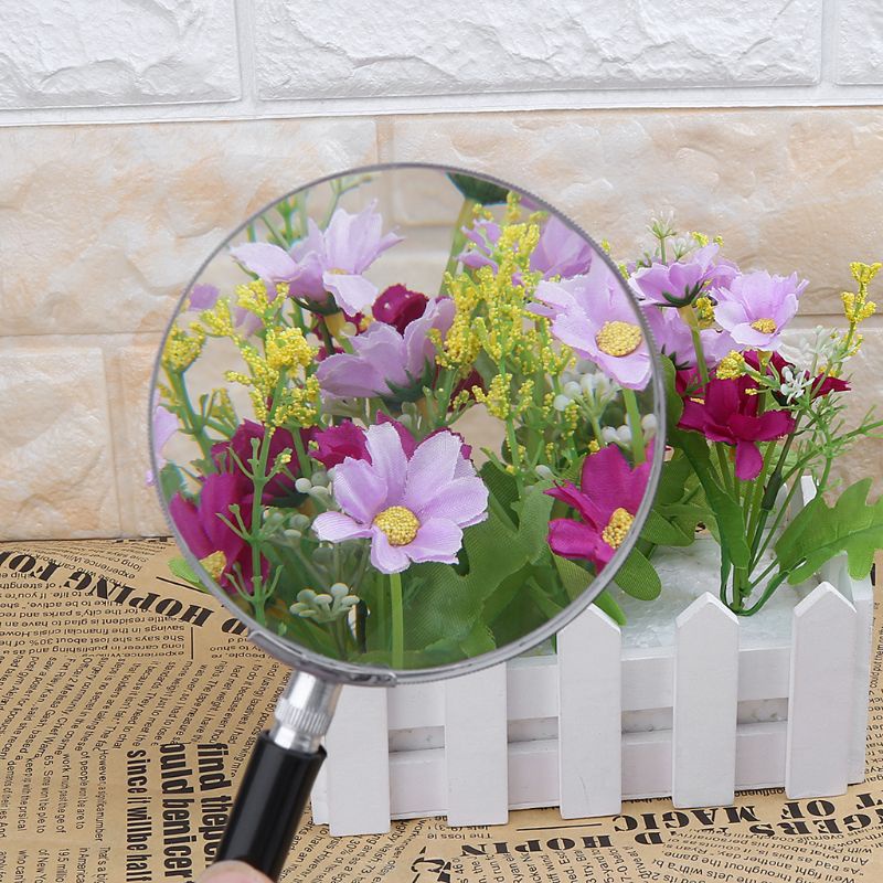 Kính Lúp Cầm Tay Độ Nét Cao Hỗ Trợ Đọc Sách Tiện Dụng