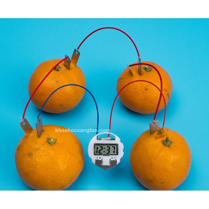 Bộ thí nghiệm đồng hồ lấy điện từ trái cây