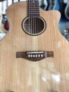 Đàn Guitar Acoustic GE-650