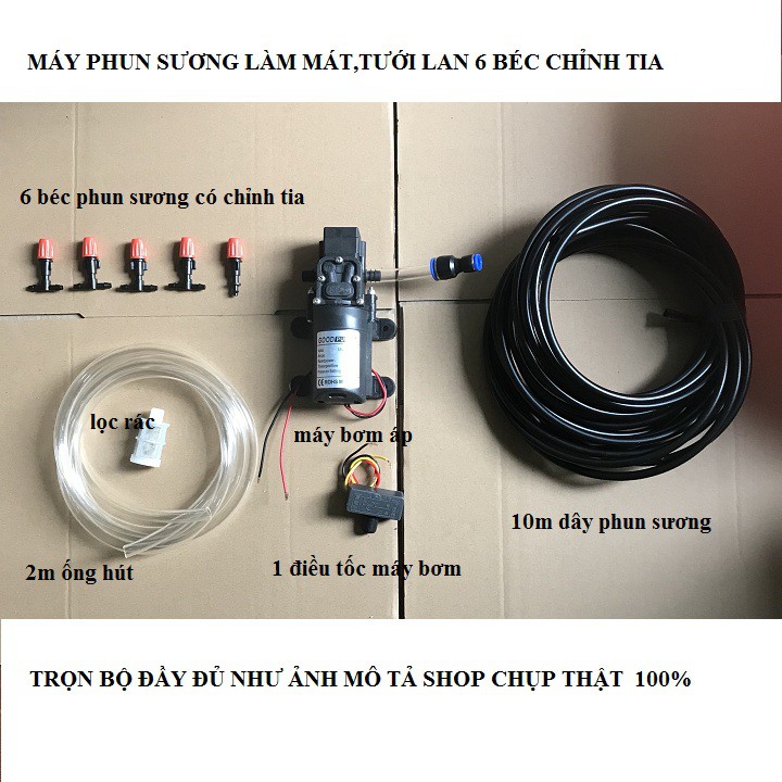 bộ phun sương làm mát, tưới lan 6 béc - máy bơm áp lực 12v