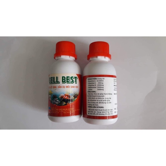 Chất kết dính GEL BEST 3in 1