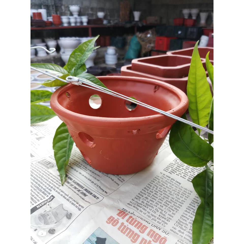 Chậu đất nung trồng lan , cây cảnh