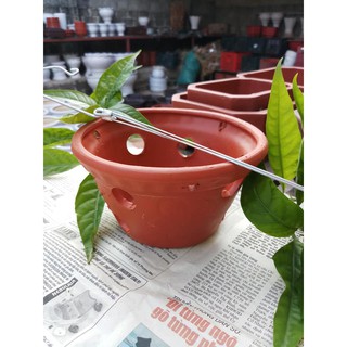 Chậu đất nung trồng lan , cây cảnh