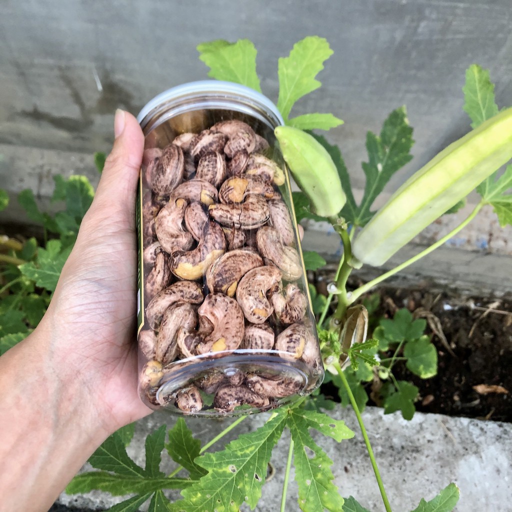 Hạt điều Bình Phước rang muối Bazan nguyên hạt size lớn, nguyên vỏ lụa sạch [loại A+ chất lượng xuất khẩu - true SEED] | BigBuy360 - bigbuy360.vn
