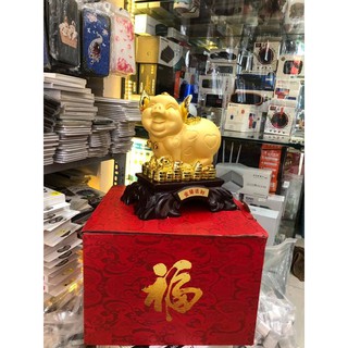 Heo Vàng Phong Thủy