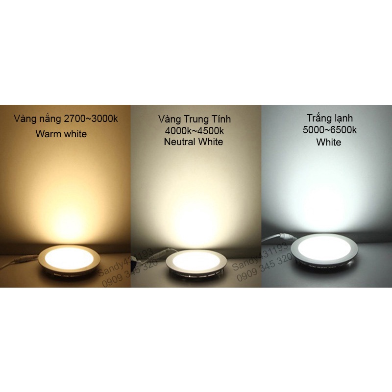 Đèn Rọi Ray Trang Trí Shop Mạ Vàng Cao Cấp 20W