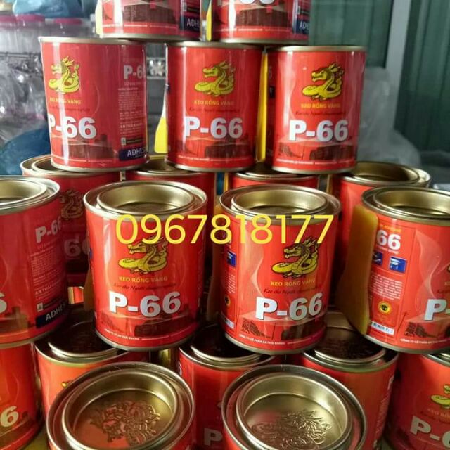 Keo  p66 25k/1 hộp