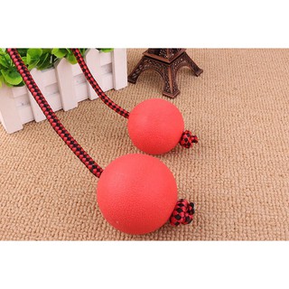 Bóng huấn luyện có dây cho thú cưng