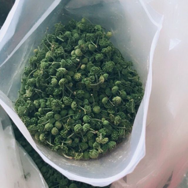 Set 250g - 500g nụ tam thất bao tử
