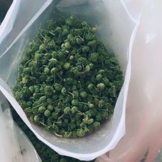 Set 250g - 500g nụ tam thất bao tử