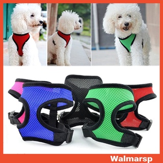 Áo lưới cổ tròng dây dắt chó đi dạo mềm mại an toàn