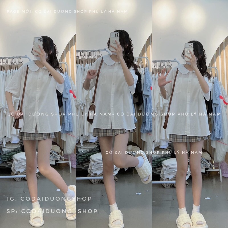sơ mi cổ sen