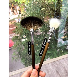 Cọ lẻ mắt nhỏ Celin