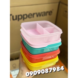 Khay cơm tupperware