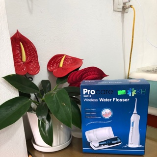 Máy tăm nước cầm tay Pro care KHD13