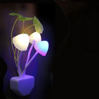 đèn ngủ cảm ứng cây nấm