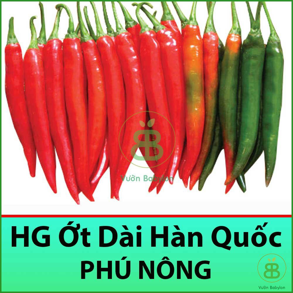 Hạt giống Ớt Trái Dài Hàn Quốc 0,2Gr Loại 1