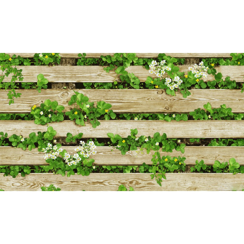 Giấy Dán Tường Hàn Quốc 3D Hoa Dây Leo Lụa Không Keo Khổ 1.06 x 15.6m