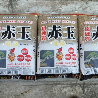 Đất nung Nhật Bản- Ryusen Akadama