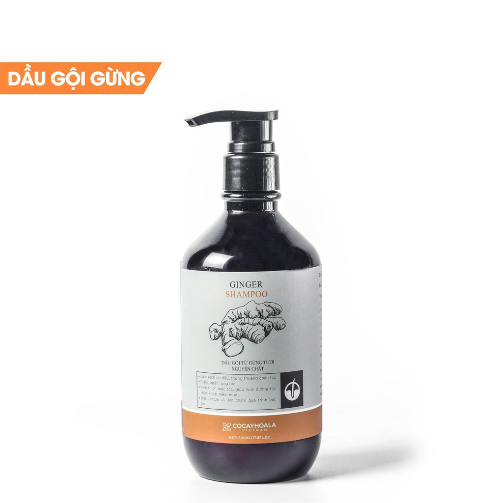 Dầu gội gừng không silicon trị gàu 500ml