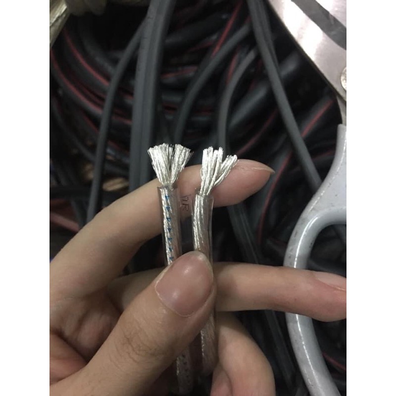 Dây Loa Monitor Bạc Đức