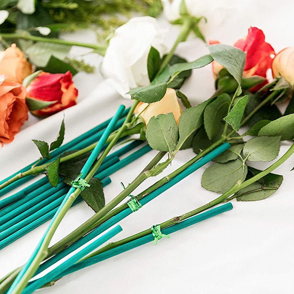 BEAUTY 10 / 30 Gậy Hỗ Trợ Trồng Cây Dây Leo Tiện Lợi