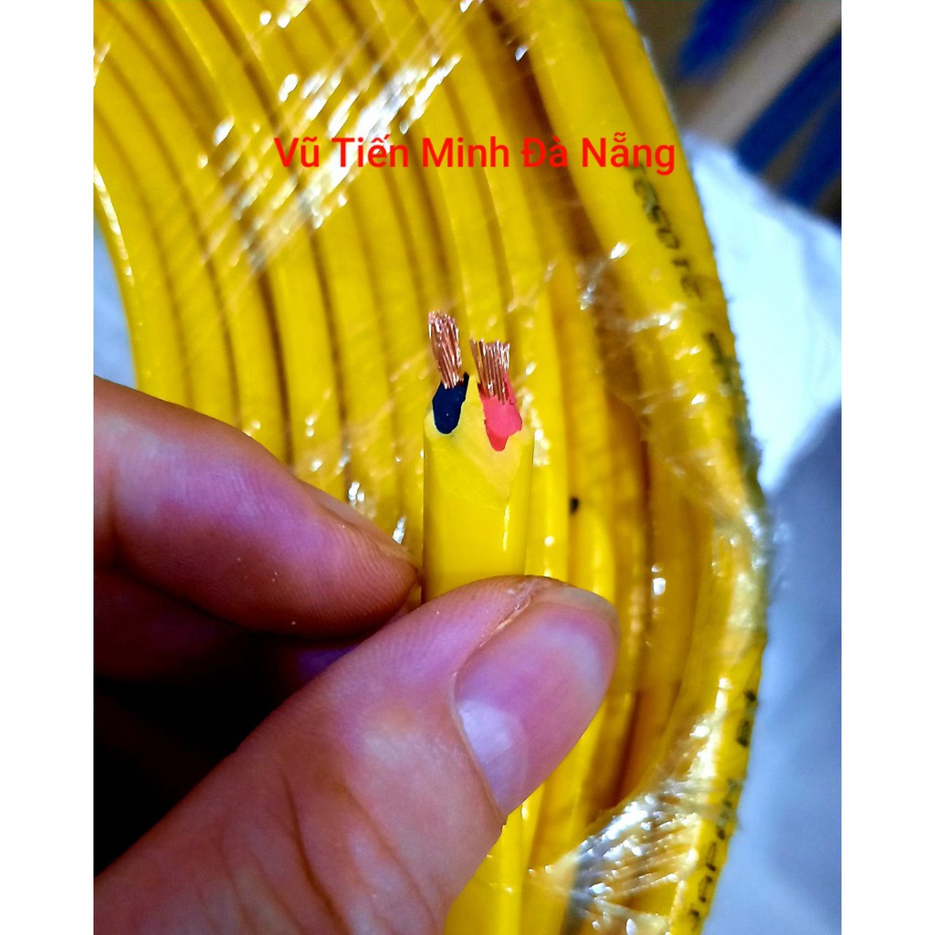 10M - 100 Mây điện đôi  2x4, lõi đồng 100% + Tặng kèm bút thử điện