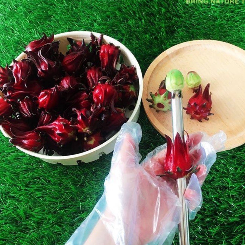 Hoa atiso đỏ tươi [LOẠI ĐÃ TÁCH HẠT LOẠI 1kg] - Hibiscus - Bụp giấm