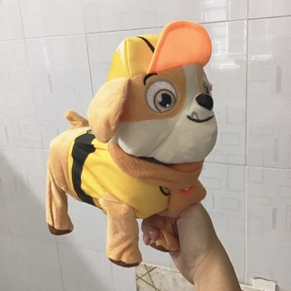 Chó biết đi biết hát