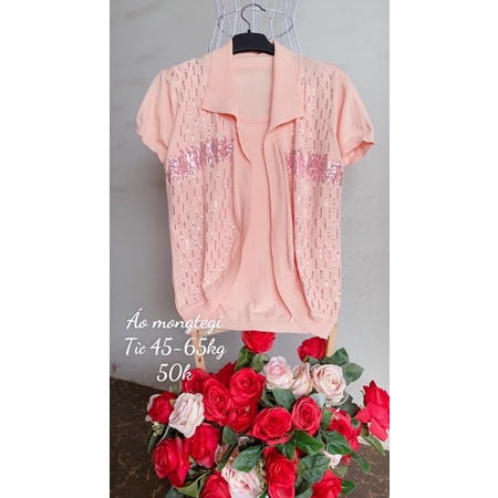 Áo  thun mongtegi kiểu