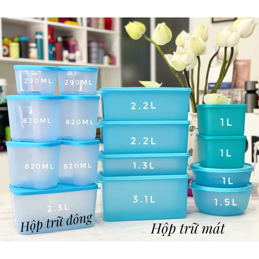 Bộ đôi hoàn hảo trữ mát, trữ đông Tupperware Blue Ocean (Mega 15)/Modern Set (Mega 16)  - Bảo hành trọn đời