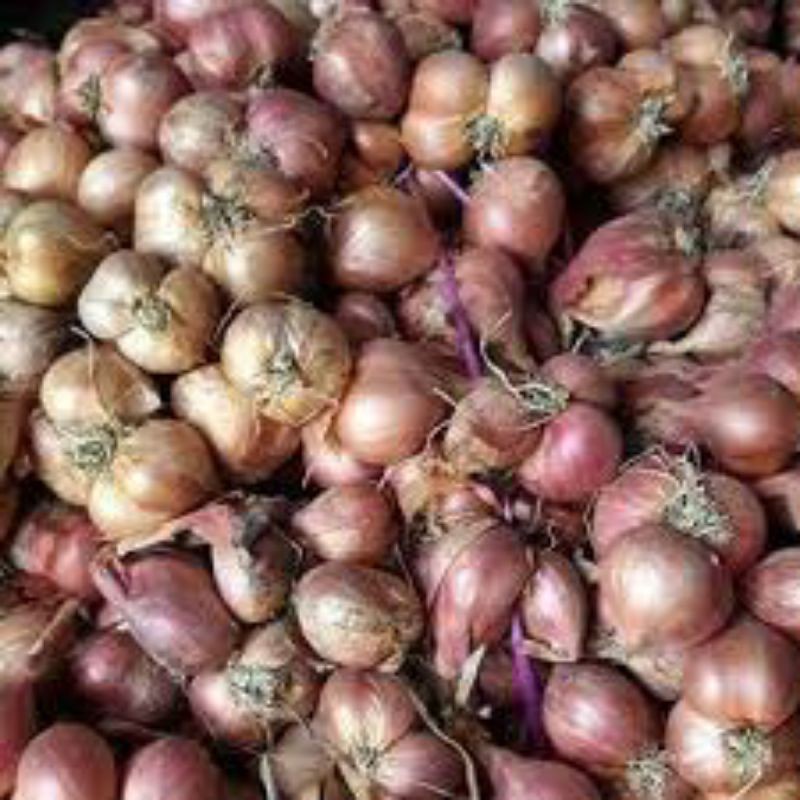 Hành tím/ Hành ta/ Hành khô Thái Bình 1kg