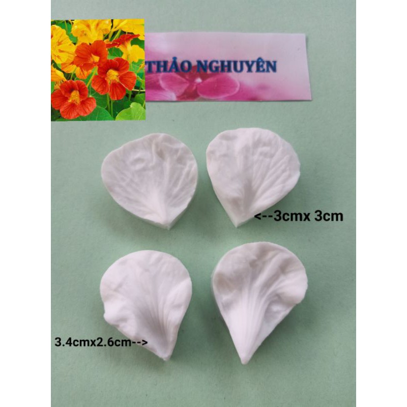 💕Gân hoa và lá hoa Sen cạn(Nasturtium)