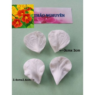 💕Gân hoa và lá hoa Sen cạn