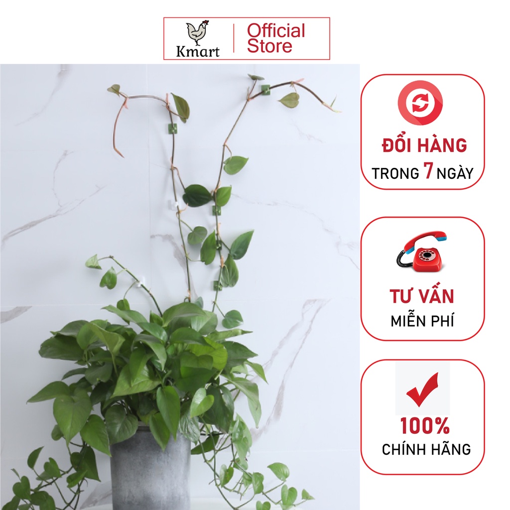 Móc treo đa năng-TT223