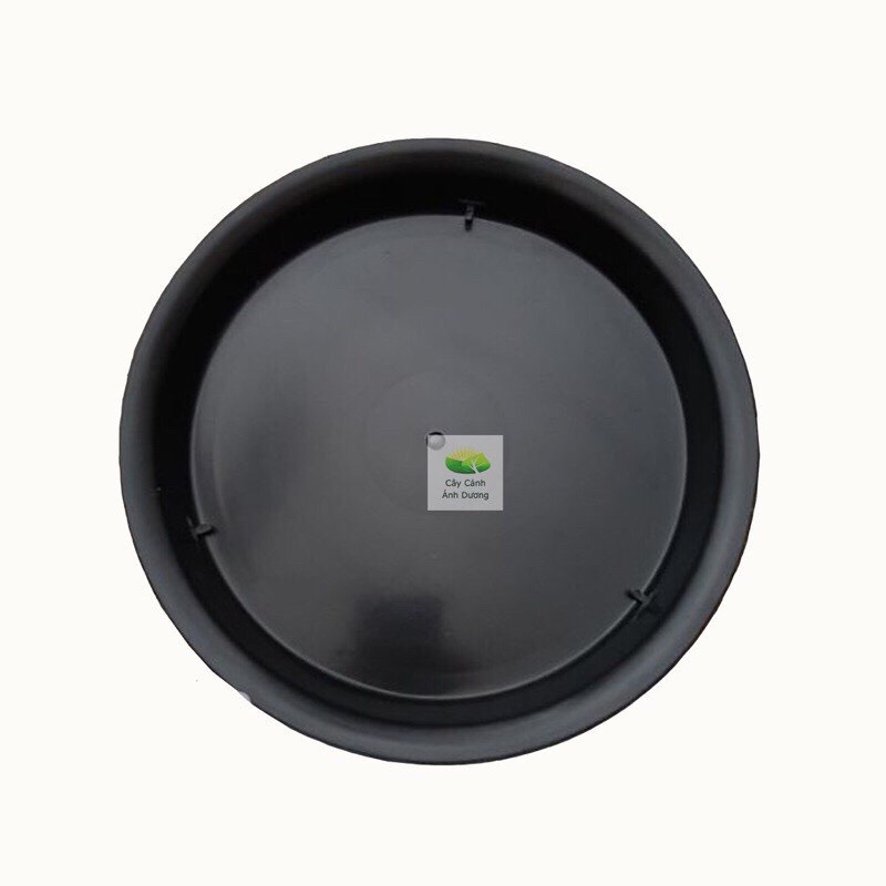 Đĩa lót chậu bằng nhựa size từ 10cm - 45cm