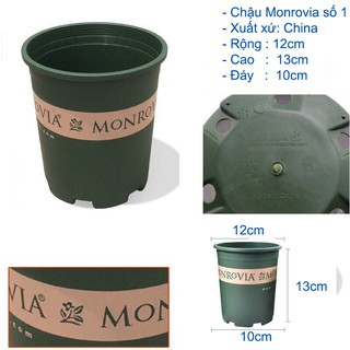 CHẬU NHỰA MONROVIA SỐ 1  - CHẬU NHỰA TRỒNG CÂY(VN)