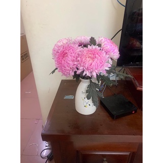 Cúc mẫu đơn đang nụ