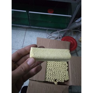 Sứ lọc thanh vàng -betta hải dương