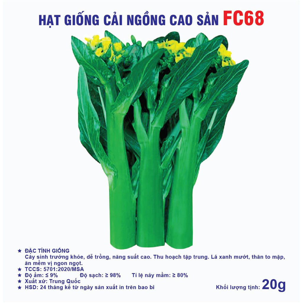 Hạt giống cải ngồng cao sản FC68