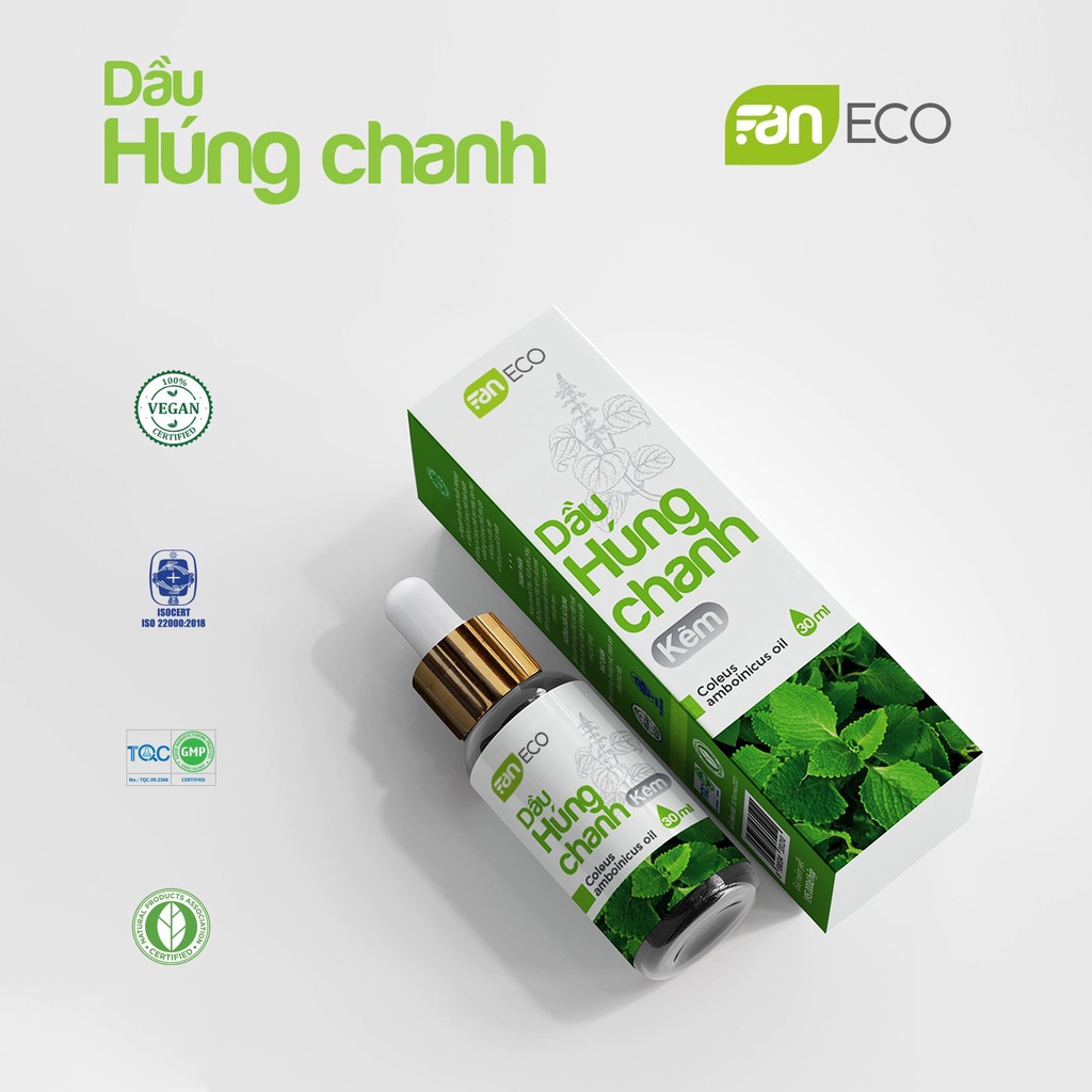 Dầu Húng Chanh Kẽm 30ml - FANECO - FanNutrifood - Helen Store