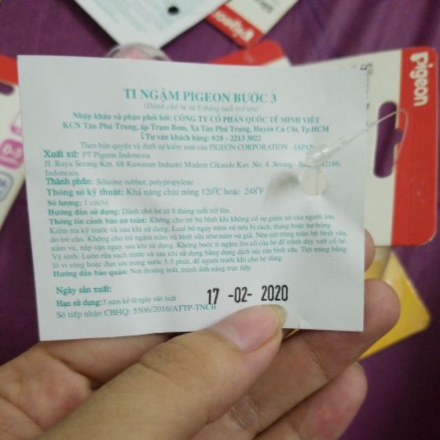 Núm ti. Ti giả Pigeon