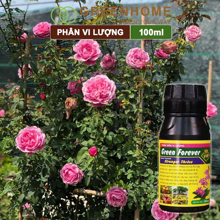 Phân bón vi lượng Green Forever, chai 100ml, cho phong lan, hoa hồng, kiểng lá, cây mới trồng |Greenhome