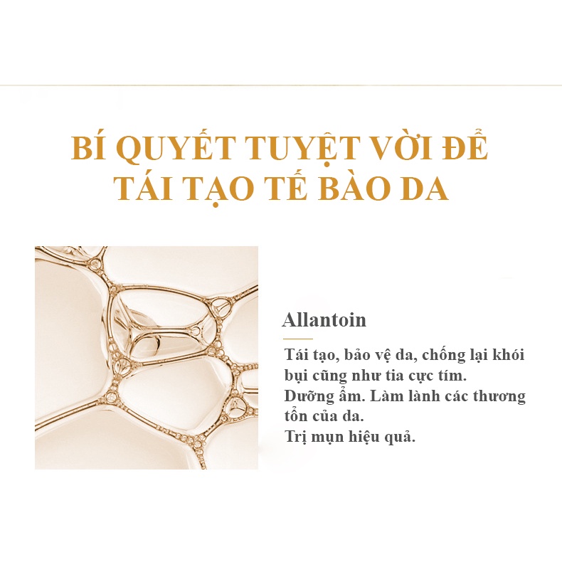 Toner Nước cân bằng tinh chất Gold 24K VENZEN chai 300ml nội địa Trung