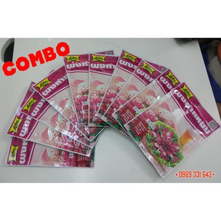 COMBO 10 gói Bột gia vị NEM CHUA Thái Lan Lobo gói 70g