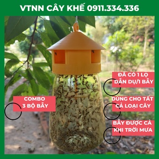 Ruồi vàng - bẫy ruồi vàng có thuốc dẫn dụ ruồi vàng, thuốc ruồi vàng - combo 3 bộ