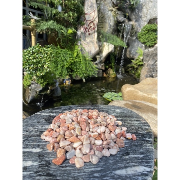 Sỏi hồng trang trí