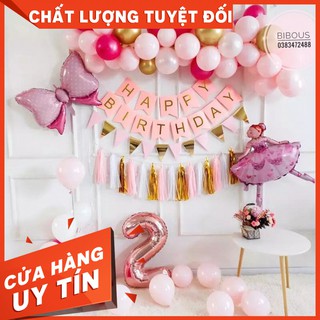 BỘ TRANG TRÍ SINH NHẬT CHO BÉ GÁI, BÓNG BAY CÔNG CHÚA GIÁ RẺ, PHỤ KIỆN SINH NHẬT, SET BÓNG SINH NHẬT GIÁ SỈ SIÊU RẺ
