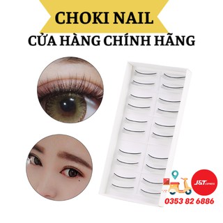 Mi giả tập tối, lông mi giả 5 cặp - 10 cặp