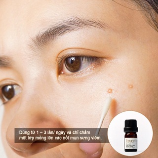dung dịch chấm mụn bí đao Cocoon 5ml.